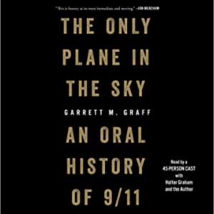 the only plane in the sky book