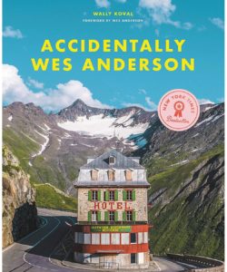 accidentally Wes Anderson book 