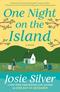 One night on the island book