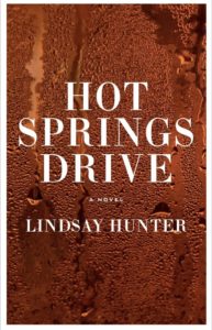 hot springs drive book 